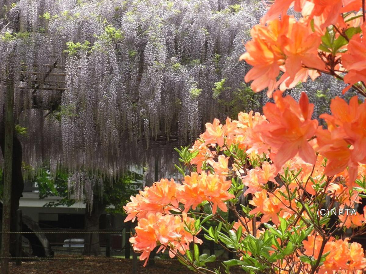 Le Grand Kyu Karuizawa Hotel Ngoại thất bức ảnh